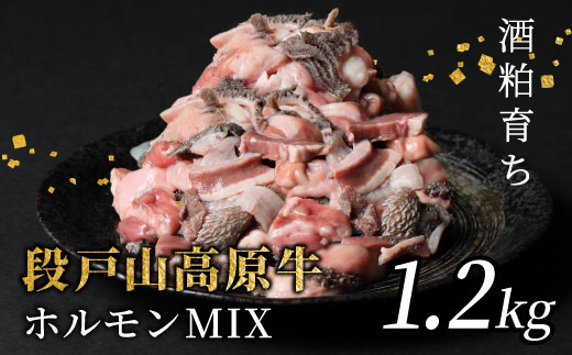 国産牛 段戸山高原牛 ホルモンMIX 1.2kg もつ鍋 焼肉用 ホルモン ホルモン焼き もつ鍋 焼肉 BBQ キャンプ 肉 鉄板焼き -191