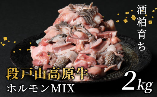 国産牛 段戸山高原牛 ホルモンMIX 2kg もつ鍋 焼肉用 ホルモン ホルモン焼き もつ鍋 焼肉 BBQ キャンプ 肉 鉄板焼き -192