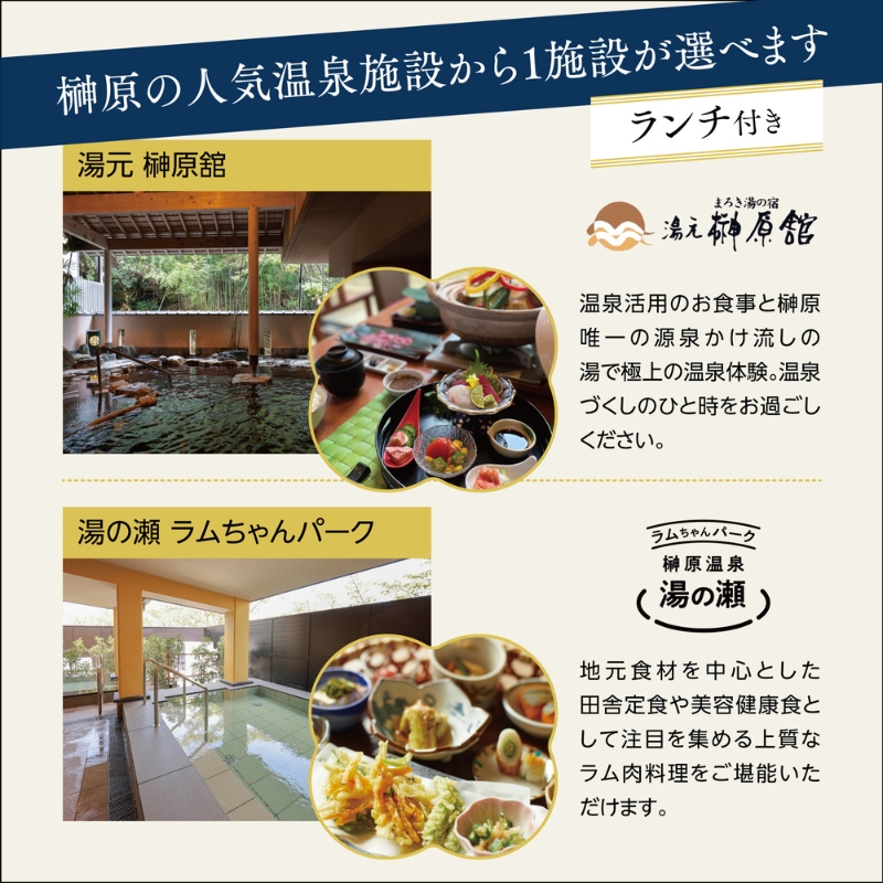 くつろぎ温泉 七栗脳ドック（榊原温泉での入浴・食事付き）【 入浴券 食事券 温泉 食事 脳ドッグ 検査 MRI 測定 】