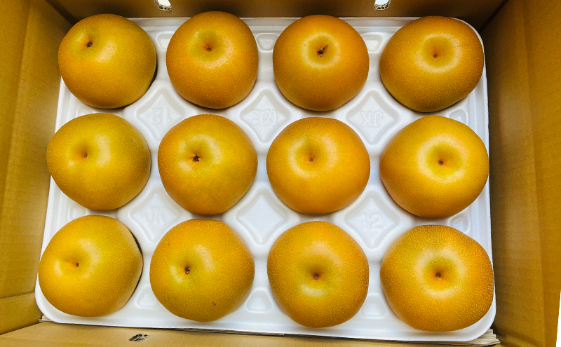 【先行予約】ひさい梨 豊水 5kg【果樹 秀専】 [ 梨 ナシ 果物 フルーツ 産地直送 ]