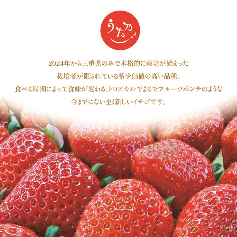 あまつおとめ イチゴ「うた乃」三重県限定品種 計500g (250g×2パック)[ 五感で楽しむ至福のいちご 果物 フルーツ 苺 イチゴ ブランド 人気 ]