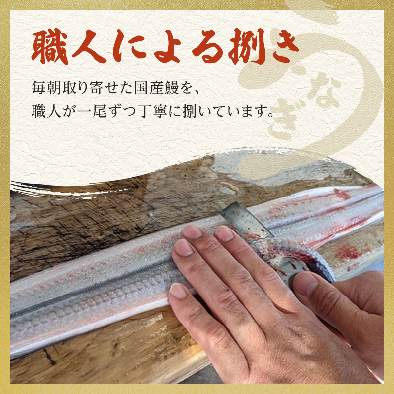 うなぎ 土用の丑(7月15～19日お届け)国産 手焼き蒲焼2尾セット[うなぎ蒲焼き 炭火焼 たれ 鰻 蒲焼 鰻蒲焼 ウナギ ギフト 贈り物 グルメ ご褒美 簡単調理 冷凍 真空 丑の日]