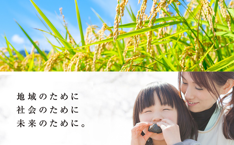 三重県津市産 至福の一杯 10kg　米 お米 ご飯 飯 白米 精米 津市 三重県