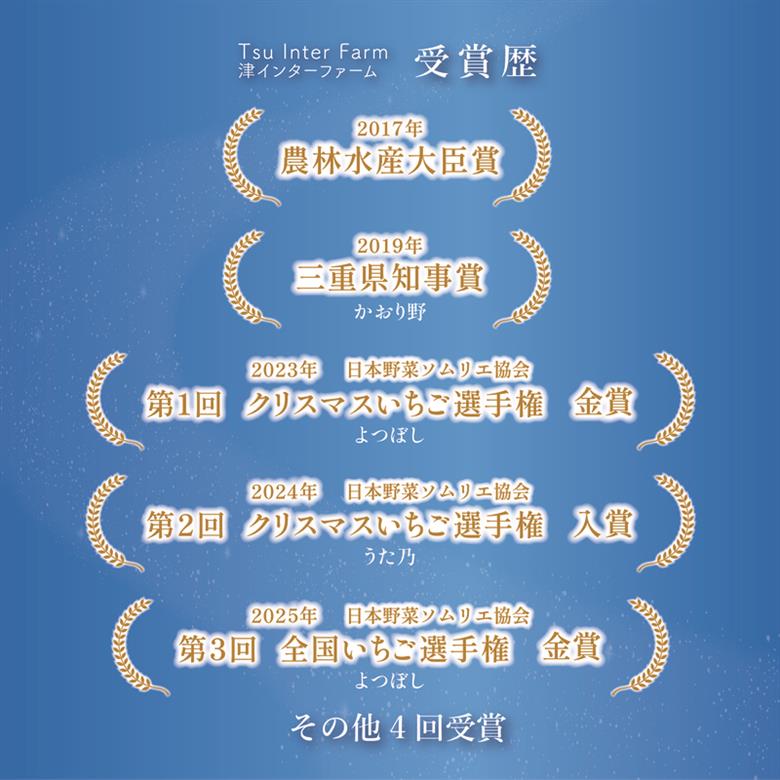 あまつおとめ いちご アソート ギフト BOX 1箱 8粒入り 250g [ 五感で楽しむ至福のいちご よつぼし かおり野 スターナイト うた乃 ほしうらら フルーツ 苺 イチゴ ]