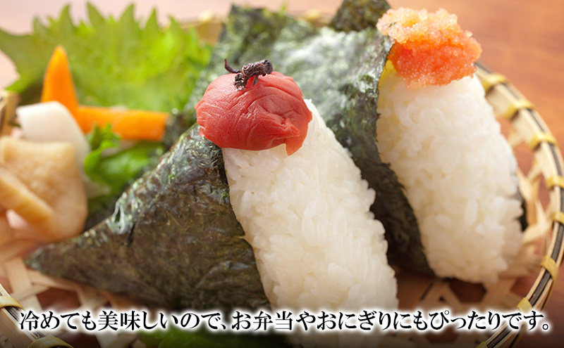 三重県津市産　コシヒカリ　10kg | 精米 白米 ご飯 津市 三重県