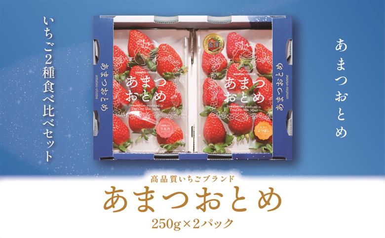 あまつおとめ いちご 2品種 食べ比べセット 計500g (250g×2パック)[ 五感で楽しむ至福のいちご よつぼし かおり野 スターナイト うた乃 ほしうらら 果物 フルーツ 苺 イチゴ ブランド 詰め合わせ お楽しみ 人気 ]