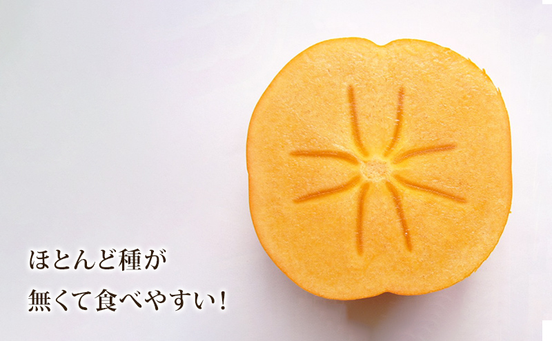 樹齢90年越え古木次郎柿 約5kg [ かき カキ 果物 フルーツ 産地直送 ] 果物類