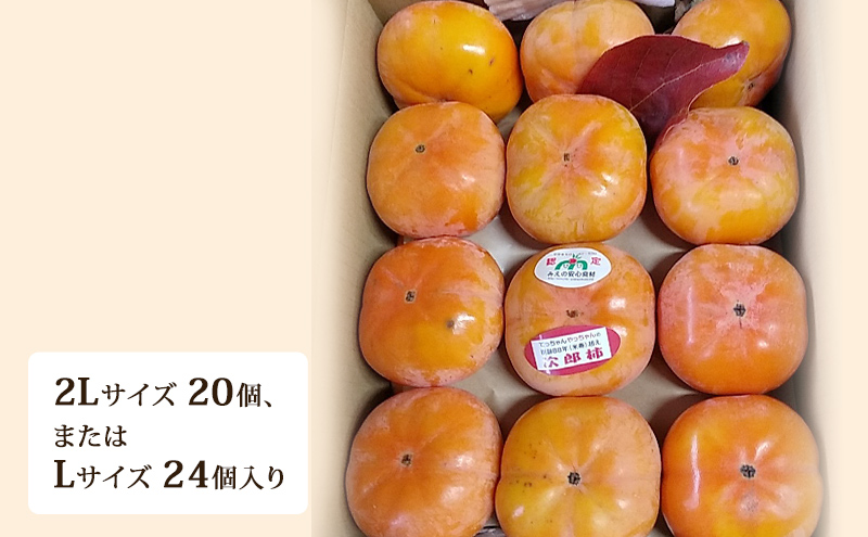樹齢90年越え古木次郎柿 約5kg [ かき カキ 果物 フルーツ 産地直送 ] 果物類