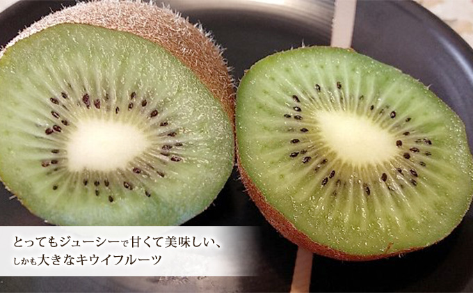 美津みどり　スイーツキウイ [ キウイフルーツ ジューシー 甘い 大きい 果物 フルーツ 産地直送 ] 果物詰合せ