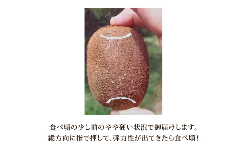 美津みどり　スイーツキウイ [ キウイフルーツ ジューシー 甘い 大きい 果物 フルーツ 産地直送 ] 果物詰合せ