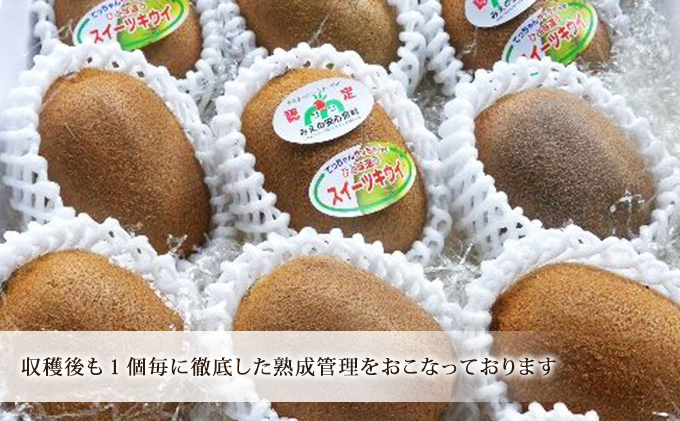 美津みどり　スイーツキウイ [ キウイフルーツ ジューシー 甘い 大きい 果物 フルーツ 産地直送 ] 果物詰合せ