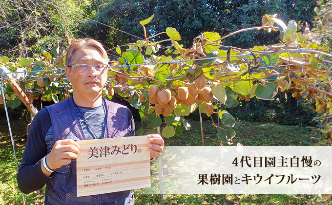 美津みどり　スイーツキウイ [ キウイフルーツ ジューシー 甘い 大きい 果物 フルーツ 産地直送 ] 果物詰合せ