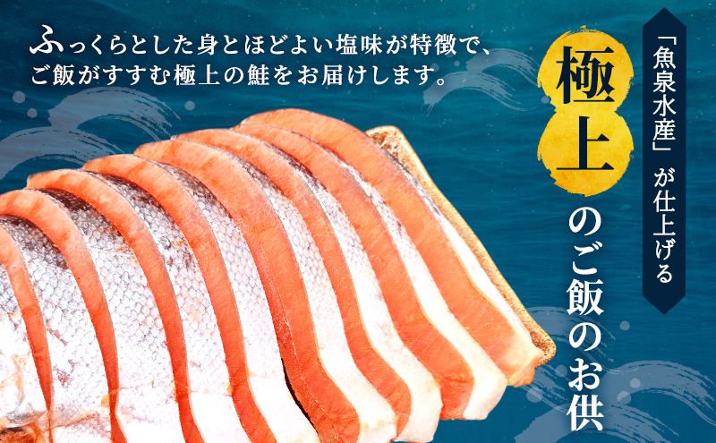 【令和8年1月発送】 訳あり 厚切り 塩銀鮭 切身 1kg 500g×2袋 魚泉水産のこだわり製法 人気 ふるさと納税 鮭 さけ しゃけ サーモン 魚 魚介類 冷凍 肉 厚 塩鮭 銀鮭 送料無料 切身 伊勢湾 三重県 津市