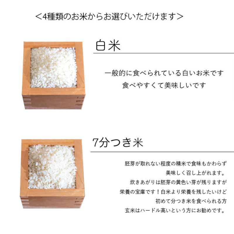 【選べる精米率】令和7年産 三重県産 コシヒカリ 10kg(5kg×2袋)［白米 玄米 5分つき米 7分つき米] 5分つき米 5kg･7分つき米 5kg