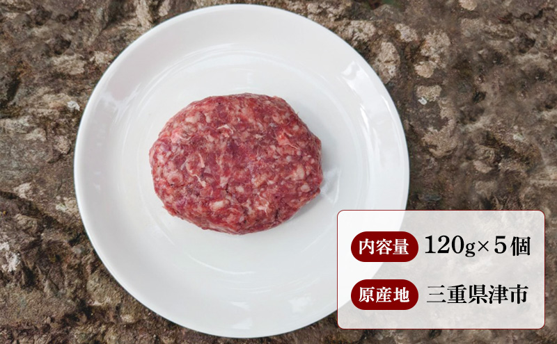 手作り ハンバーグ 5個入 牛肉 人気 自宅用 グルメ お取り寄せ 夕飯 おかず 惣菜