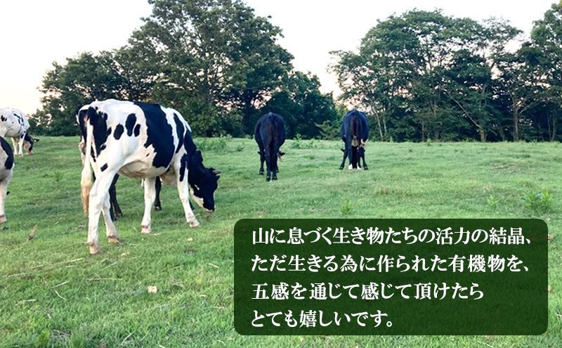 手作り ハンバーグ 5個入 牛肉 人気 自宅用 グルメ お取り寄せ 夕飯 おかず 惣菜