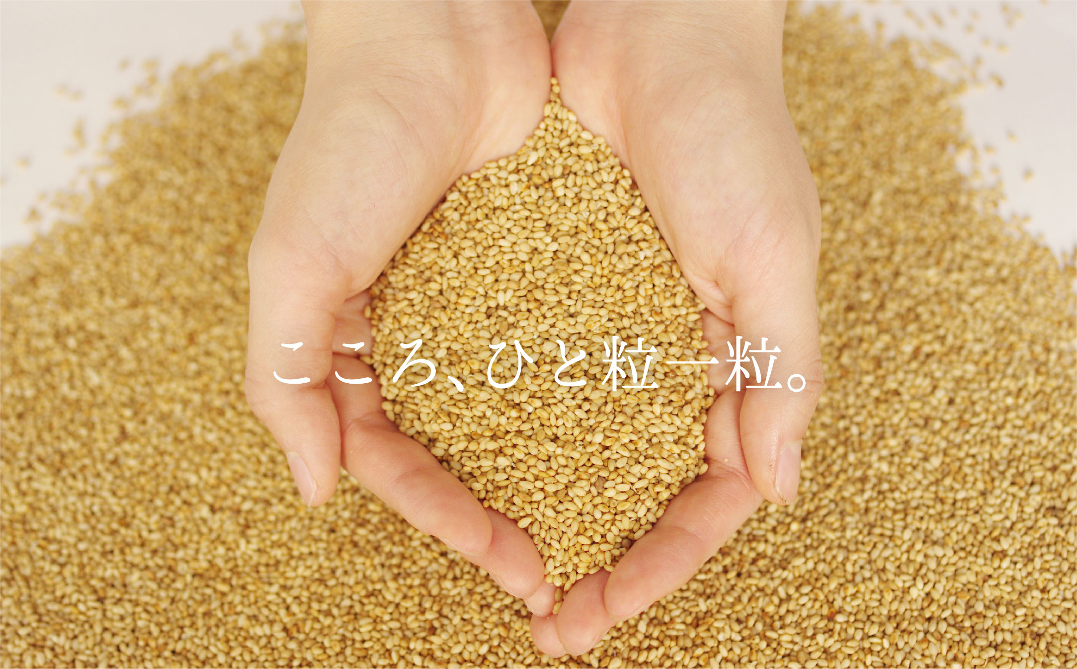 ＜定期便＞九鬼産業 太白純正胡麻油1650ｇ×1本【５回発送】創業明治19年 ごま油の老舗「九鬼」 いつもの味を上質に変えるごま油。老舗 ゴマ油 胡麻油 ごま油 ドレッシング 調味料 料理 お祝い 贈答品 贈り物 ギフト ミシュラン 2つ星の割烹でも使用 四日市 四日市市 四日市市ふるさと納税