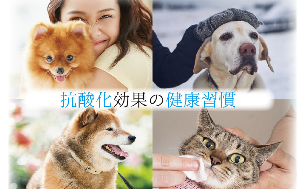 アニマルペットシータラクト 60カプセル入り×2箱