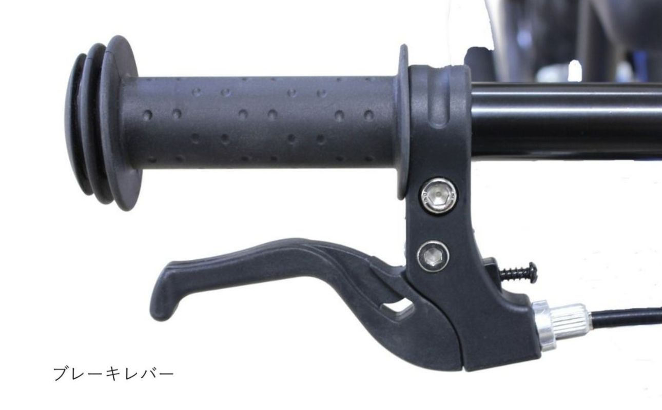 HEAD キックバイク (適正身長80-100cm用) 【ライトグリーン】 武田産業【四日市市 で人気の返礼品 武田産業 子供用自転車 キッズバイク キッズ キッズ用 子ども 子供用 子ども用 幼児用 自転車 ファミリー 四日市 】 ライトグリーン