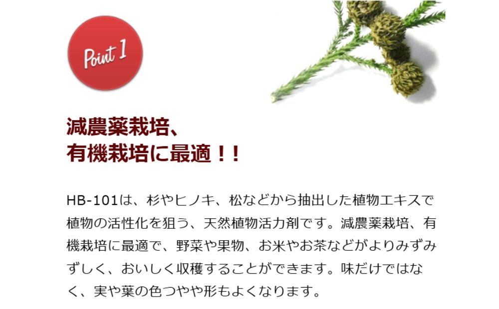 野菜作りや園芸に。プロご用達「HB-101」 100cc 1本 100cc