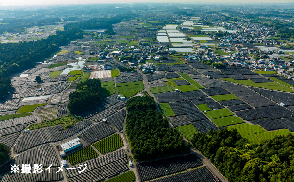 ドローン撮影コンテスト・グランプリ受賞者が、インストラクターとなって写真・動画撮影をサポートする、感動のドローン撮影体験（初心者歓迎 ）～水沢茶畑風景（ 1 組様）【ドローン ドローン撮影 ドローン撮影体験 体験 コンビナート夜景 夜景 グランプリ受賞 グランプリ 感動 動画 夜景遺産 日本夜景遺産 三重県 四日市市 四日市】 初心者歓迎