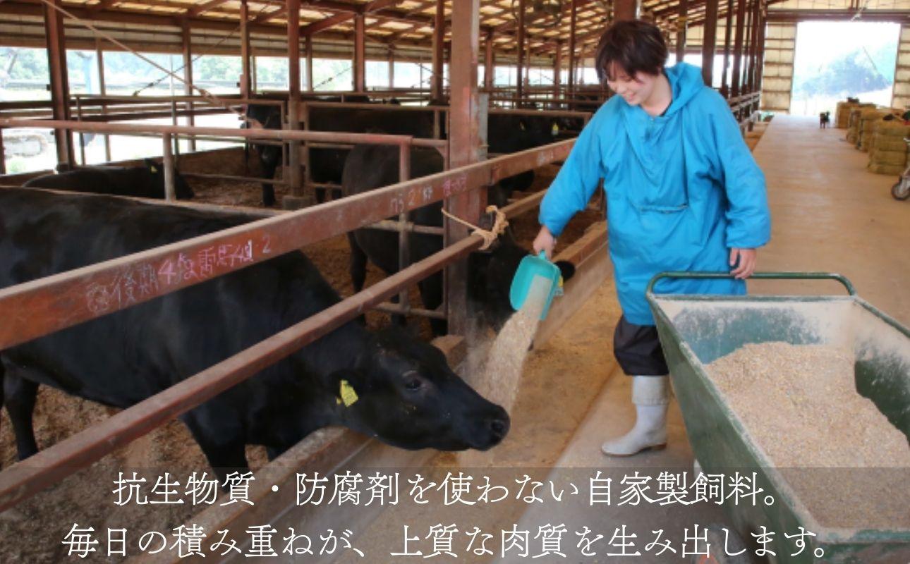 牛舎で自家配合飼料を牛に与える様子