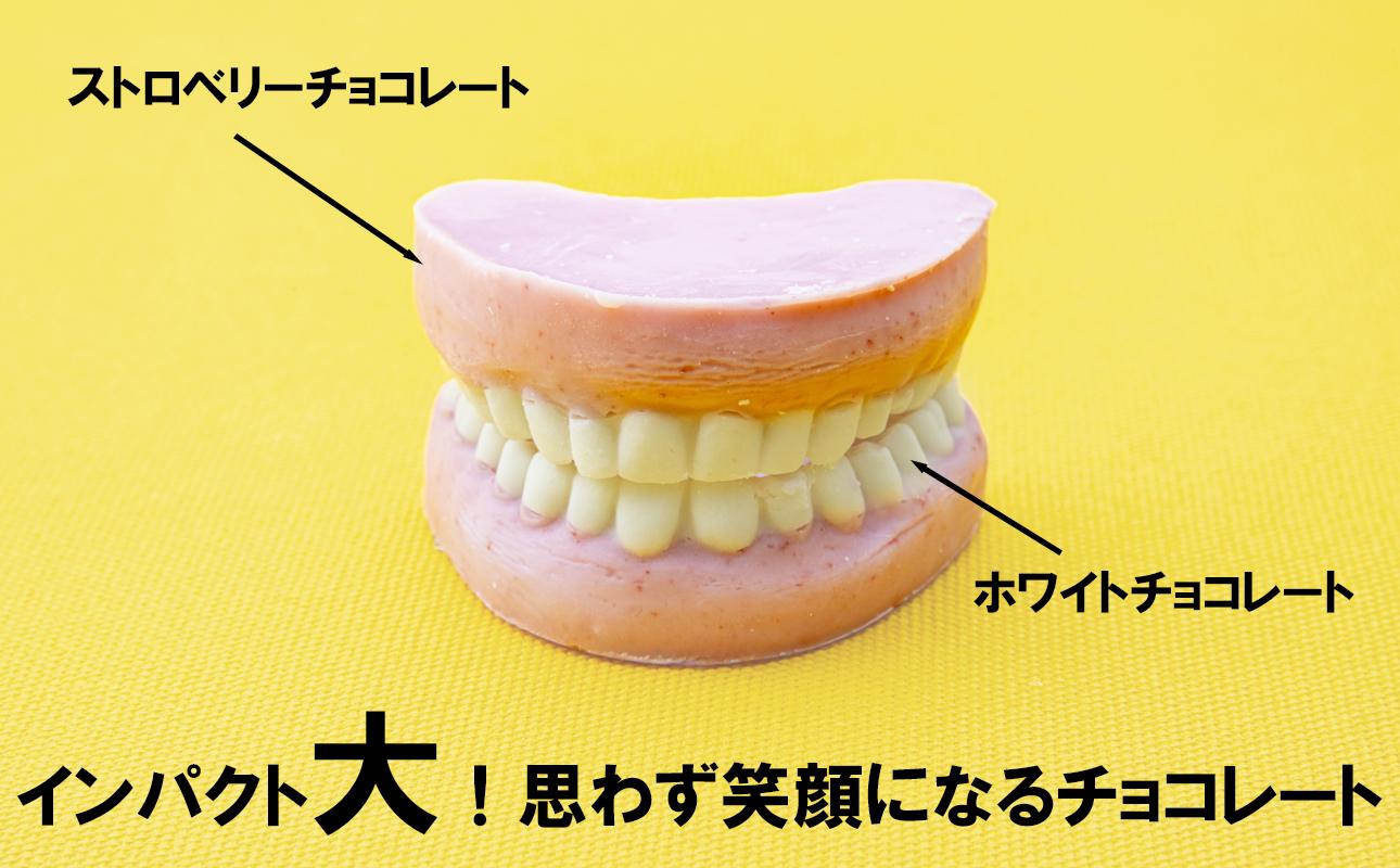 ハロウィン・バレンタインデーチョコレートのニューウェーブ。あなたと一緒にいればー「入れ歯チョコレート」（２個セット）ハロウィンの仮装に。バレンタインデーのサプライズに。【チョコ、チョコレート、サプライズ、ギフト、贈り物、ハロウィン、バレンタイン、プレゼント、ストロベリー、苺チョコ、おいしい、楽しい、仮装、ファミリー、家族、パーティ、こども、三重県、四日市市、ふるさと納税】 2個セット