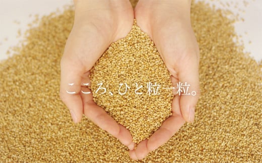  九鬼産業 太白純正胡麻油1650ｇ×1本 創業明治19年 ごま油の老舗「九鬼」 いつもの味を上質に変えるごま油。老舗 ゴマ油 胡麻油 ごま油 ドレッシング 調味料 料理 お祝い 贈答品 贈り物 ギフト ミシュラン 2つ星の割烹でも使用 四日市 四日市市 四日市市ふるさと納税 1本