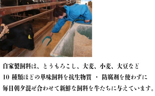 伊勢水沢牛（いせすいざわぎゅう）レトルトカレー 6個入り　三重畜産【国産牛 牛肉 牛 お肉 肉 カレー ビーフカレー 三重県 四日市市】