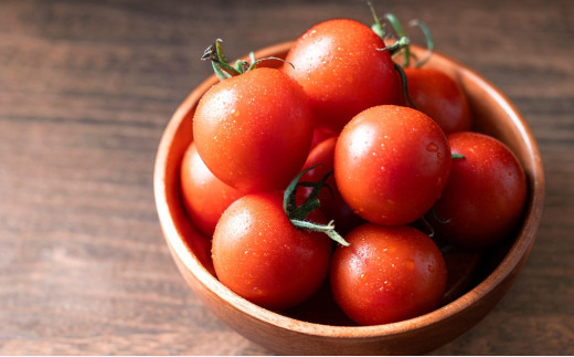 鈴鹿山麓トマト 中玉トマト「レッドオーレ」箱詰め（1.8kg入り）【トマト ミニトマト 採れたて 自然 栽培 水耕栽培 野菜 甘い あまい おいしい 美味しい 三重県 四日市市 ふるさと納税】 レッドオーレ(1.8kg)