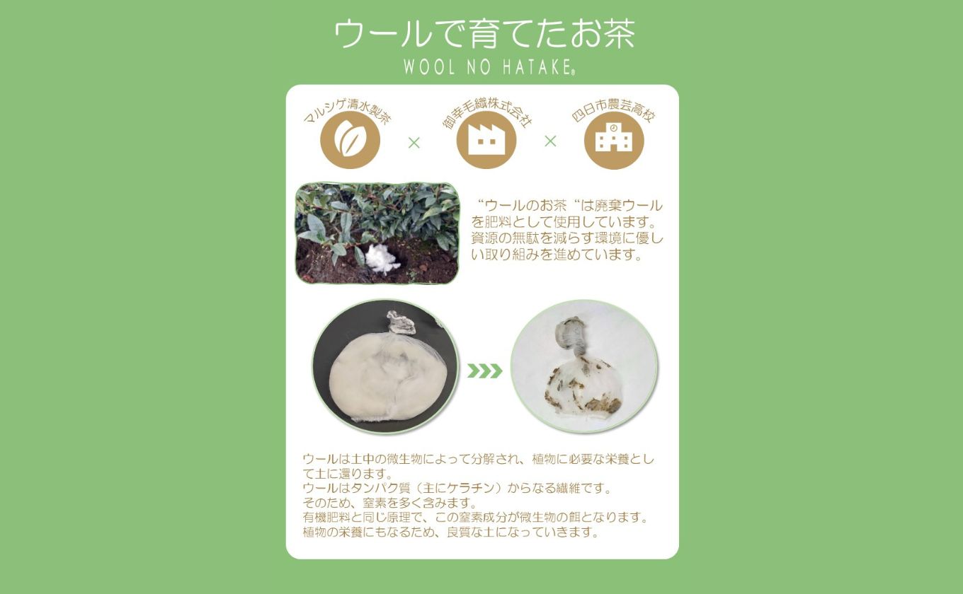 ウールで育てたお茶 お試しセット（かぶせ茶、ほうじ茶）マルシゲ清水製茶【お茶 茶 飲料 ギフト 贈り物 プレゼント 三重県 四日市 四日市市 】