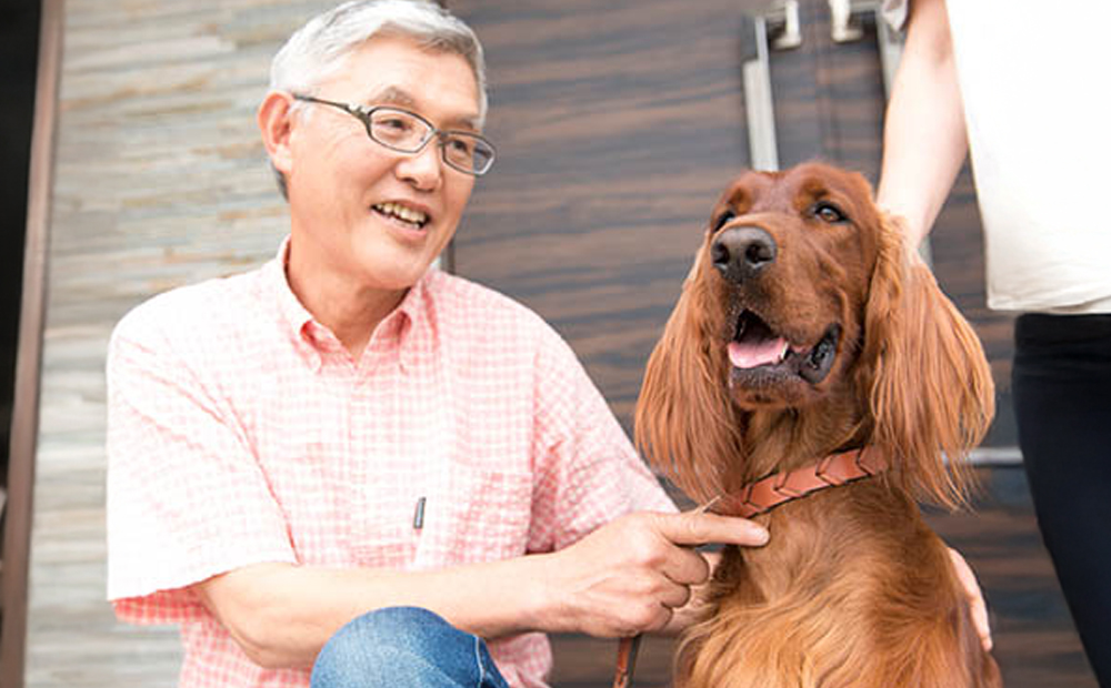 アニマルペットシータラクト 60カプセル入り×2箱