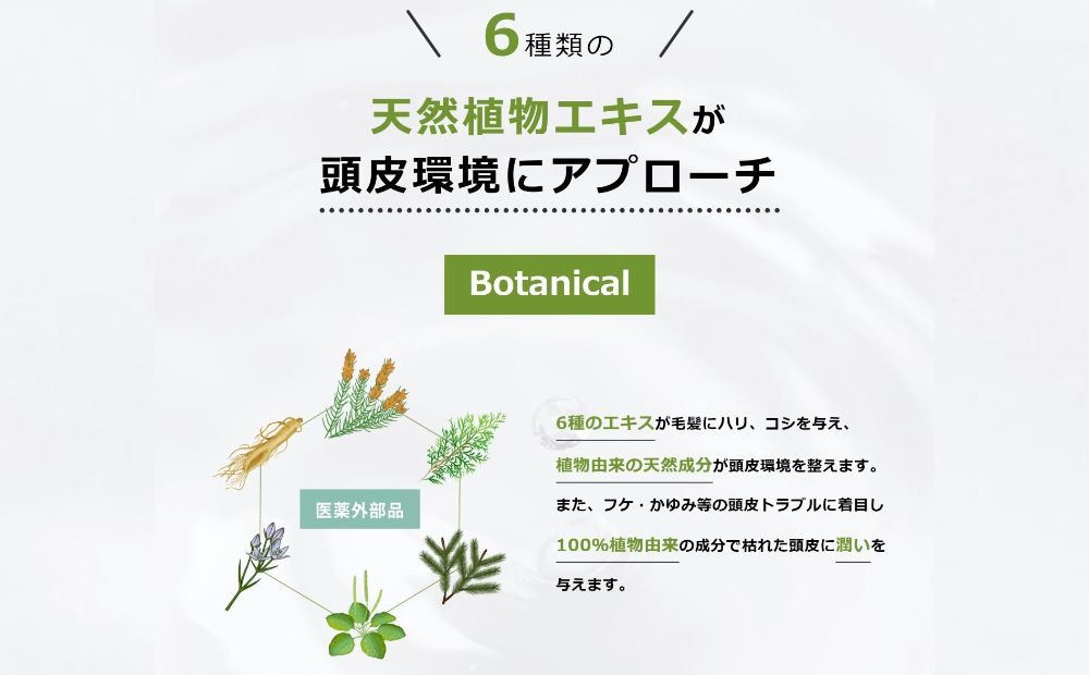 植物性の育毛剤「HG-101」 150cc 3本セット 3本