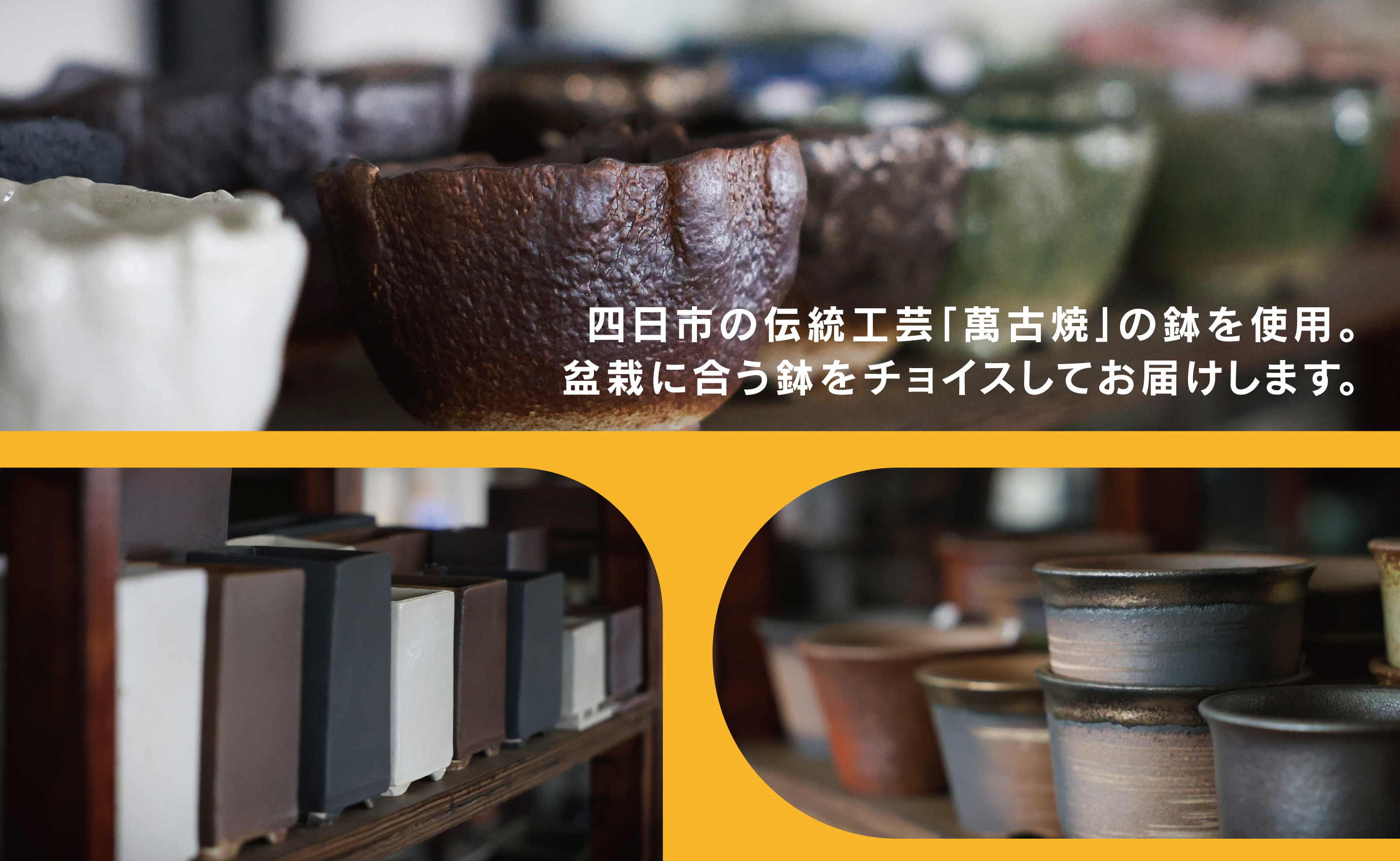 「デスクトップ盆栽」という新提案を四日市から（ミニチュアなし） ミニチュアなし