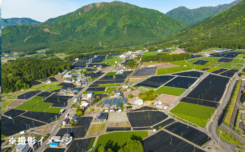 ドローン撮影コンテスト・グランプリ受賞者が、インストラクターとなって写真・動画撮影をサポートする、感動のドローン撮影体験（初心者歓迎 ）～水沢茶畑風景（ 1 組様）【ドローン ドローン撮影 ドローン撮影体験 体験 コンビナート夜景 夜景 グランプリ受賞 グランプリ 感動 動画 夜景遺産 日本夜景遺産 三重県 四日市市 四日市】 初心者歓迎