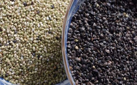 手打ち十割そば10食分つゆ付きセット（生そば）老梅庵（ろうばいあん）そばの栽培から茹で方まで徹頭徹尾のこだわり　石挽き十割(いしびきじゅうわり)そば日経新聞お取り寄せランキング全国1位の店【年越しそば 蕎麦 十割そば 石臼 手打ち ギフト 麺 生麺 乾麺 冷凍便 セット 手作り 和食 料理 おすすめ 人気 家族 上質 三重県 四日市市 ふるさと納税】