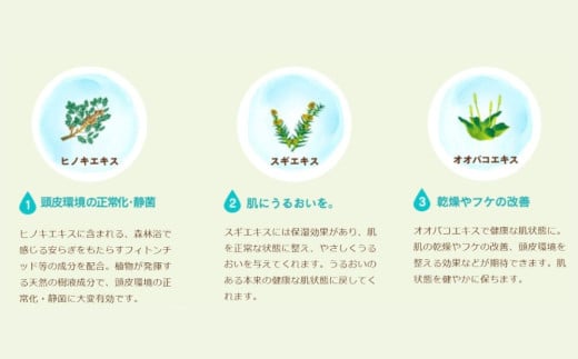 100%天然のヘアシャンプー「夢見るシャンプー」300ml 3本セット 3本