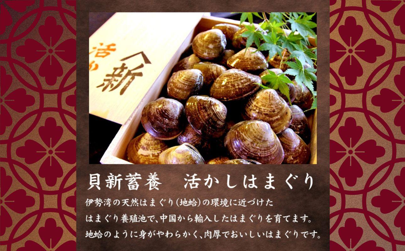 貝新畜養 活かしはまぐり （極上サイズ）2kg 木箱入り