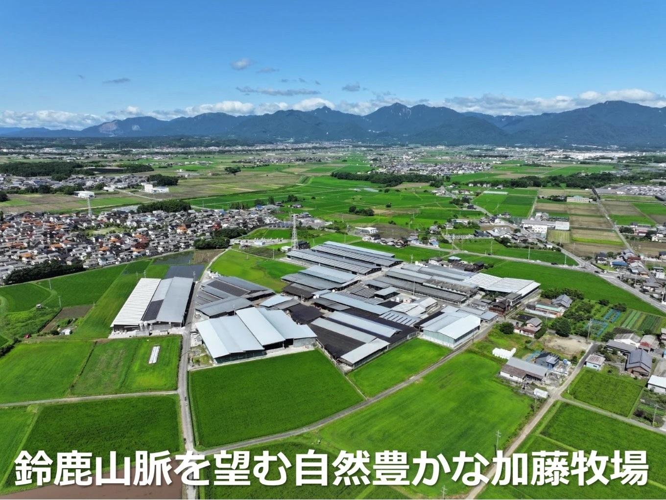 ＜定期便＞松阪牛の品評会で最優秀賞受賞歴のある 加藤牧場の黒毛和牛 ロース・肩ロース 1kg　【６回発送】/ 牛肉　国産牛　黒毛和牛　ロース　肩ロース　肉　上質　人気　おすすめ　三重県 1kg×6回