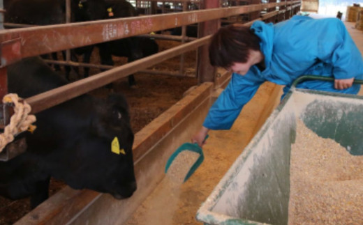 伊勢水沢牛（いせすいざわぎゅう）焼肉用　1kg　三重畜産【国産牛 牛肉 お肉 肉 すき焼き しゃぶしゃぶ 三重県 四日市市】