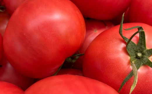 鈴鹿山麓トマト「ハウス桃太郎」、「レッドオーレ」、「カラフルミニ」の3種詰め合わせ（合計4kg）【トマト ミニトマト 採れたて 自然 栽培 水耕栽培 野菜 甘い あまい おいしい 美味しい 三重県 四日市市 ふるさと納税】 3種詰め合わせ(4kg)