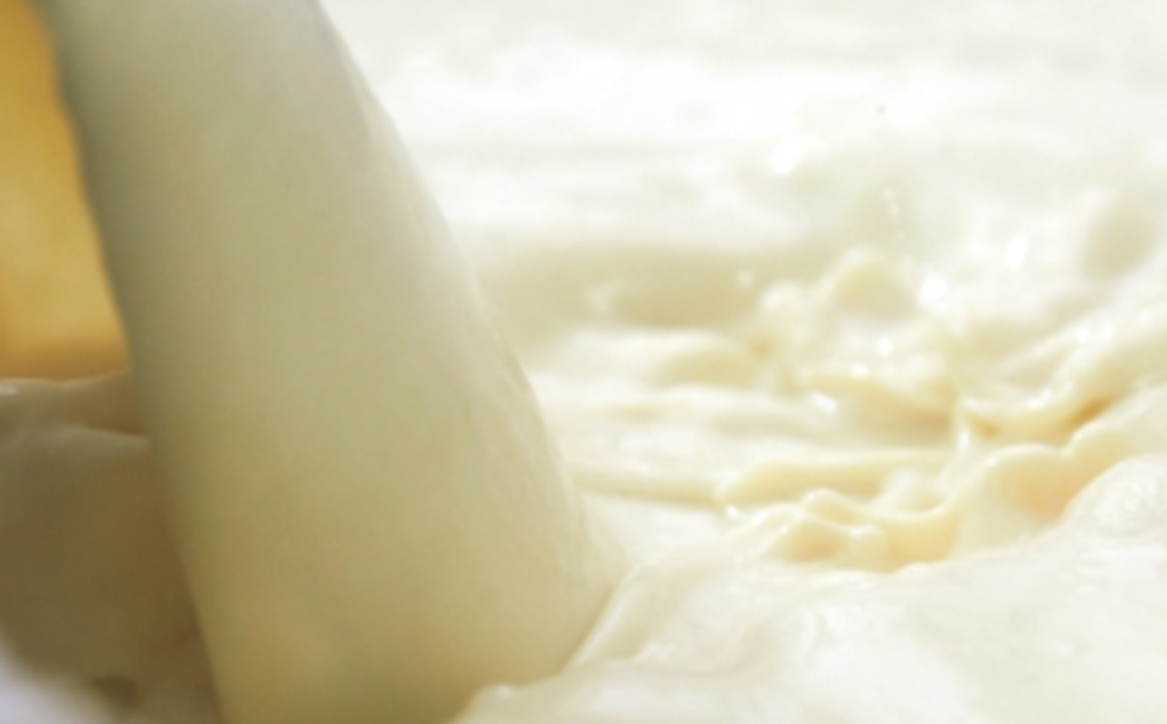 つくる豆腐セット【豆腐、にがり、無添加、オーガニック、発酵食品、スローライフ、手作り、安心、三重県、四日市市、ふるさと納税、ANAのふるさと納税】