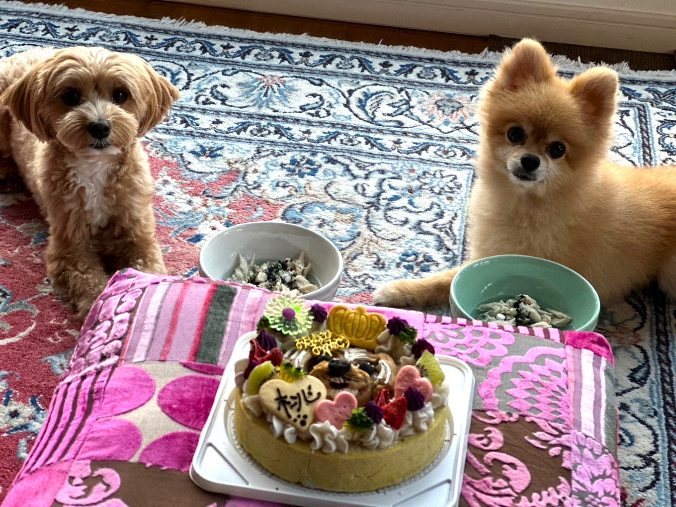 犬用似顔絵ケーキ・アレルギー対応・獣医師監修 アレルギー対応