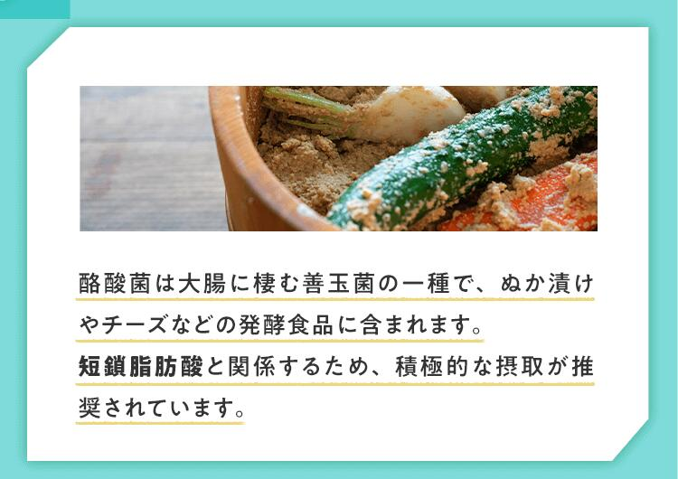 TVで話題！ グアーガム分解物 生きて腸内まで届く 酪酸菌 水溶性食物繊維　サンファイバープラス【スティック】6ｇ×30包【発酵性食物繊維 食物繊維 シンバイオティクス 医療 介護 安心 無味無臭 グアーガム分解 四日市市】 1箱