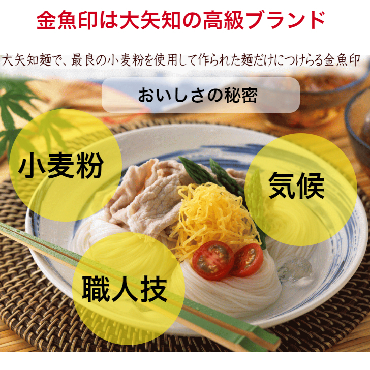 TV番組「マツコ＆有吉 かりそめ天国」紹介店　冷や麦＆そうめん詰め合わせセット【冷や麦9束＆そうめん10束】渡辺手延製?所／王道の名産品　四日市　おおやち　大矢知伝承の味　清流　ミネラル　職人技　高級?　手延べ麺　手延べめん　冷麦　冷や麦　そうめん　素?　ソーメン　美味しい　ツルツル　食感　夏　夏に食べたい一品　夏バテ防止　おすすめ