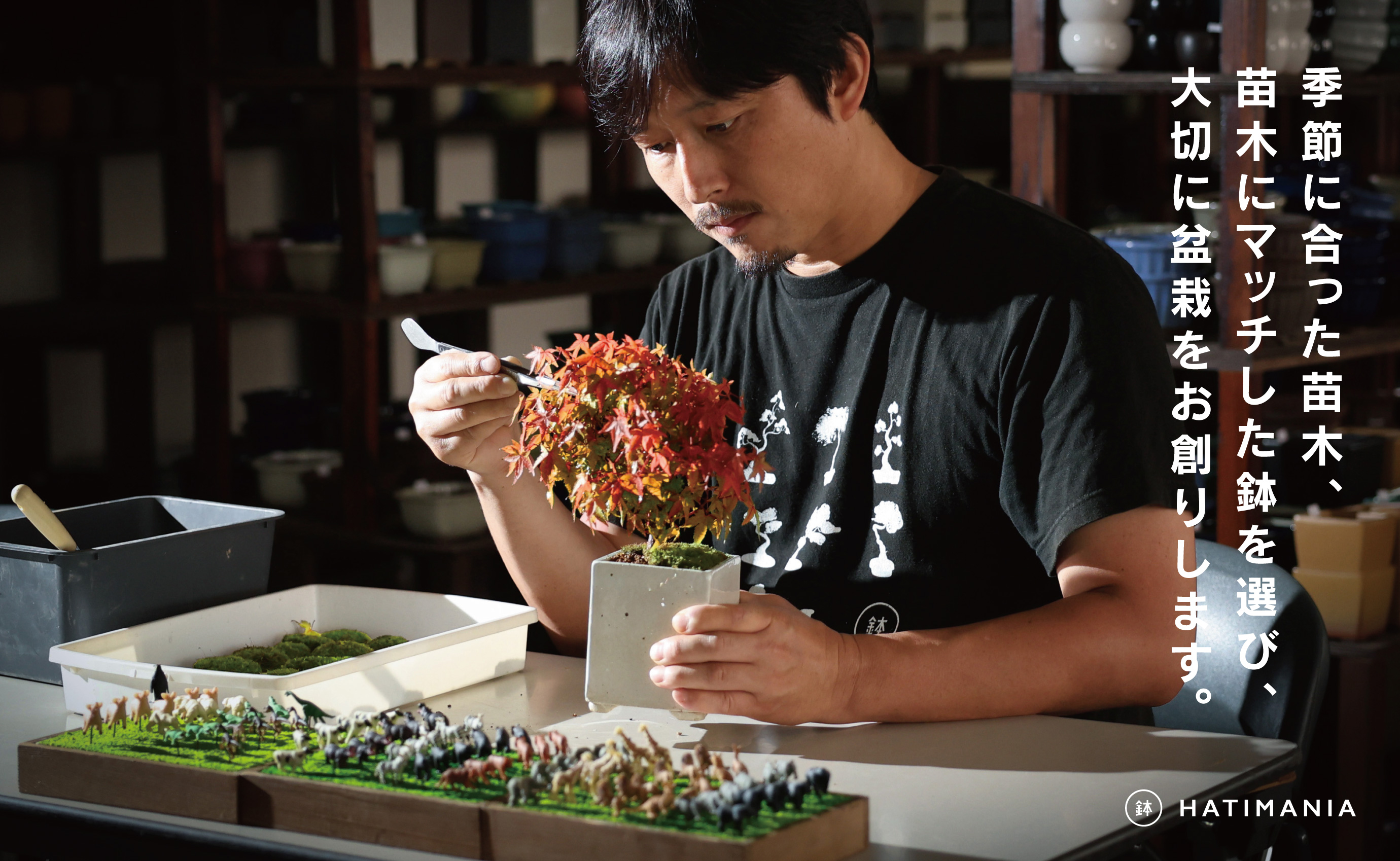 「デスクトップ盆栽」という新提案を四日市から（ミニチュアなし） ミニチュアなし