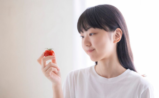 鈴鹿山麓トマト 中玉トマト「レッドオーレ」箱詰め（1.8kg入り）【トマト ミニトマト 採れたて 自然 栽培 水耕栽培 野菜 甘い あまい おいしい 美味しい 三重県 四日市市 ふるさと納税】 レッドオーレ(1.8kg)