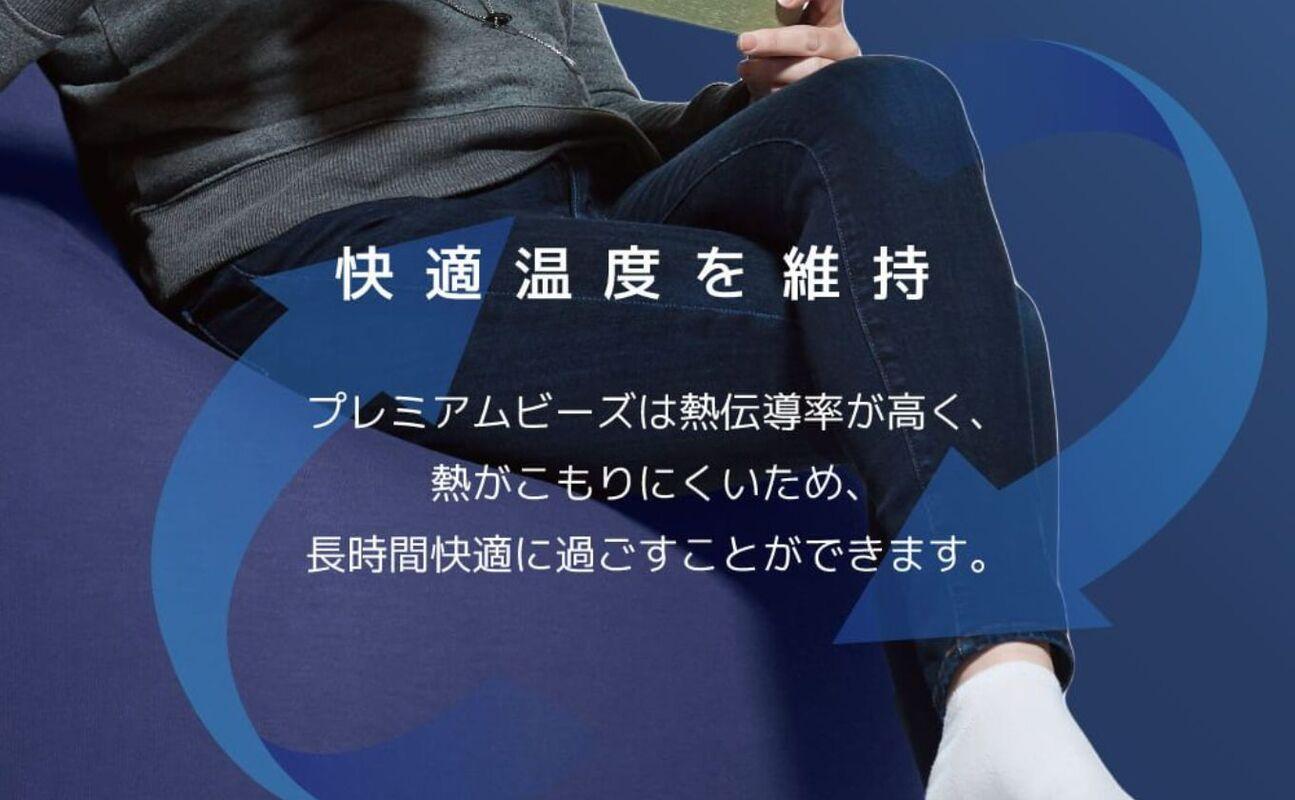 Yogibo Zoola Mini Premium（ヨギボー ズーラ ミニ プレミアム）＜オフブラック＞ オフブラック