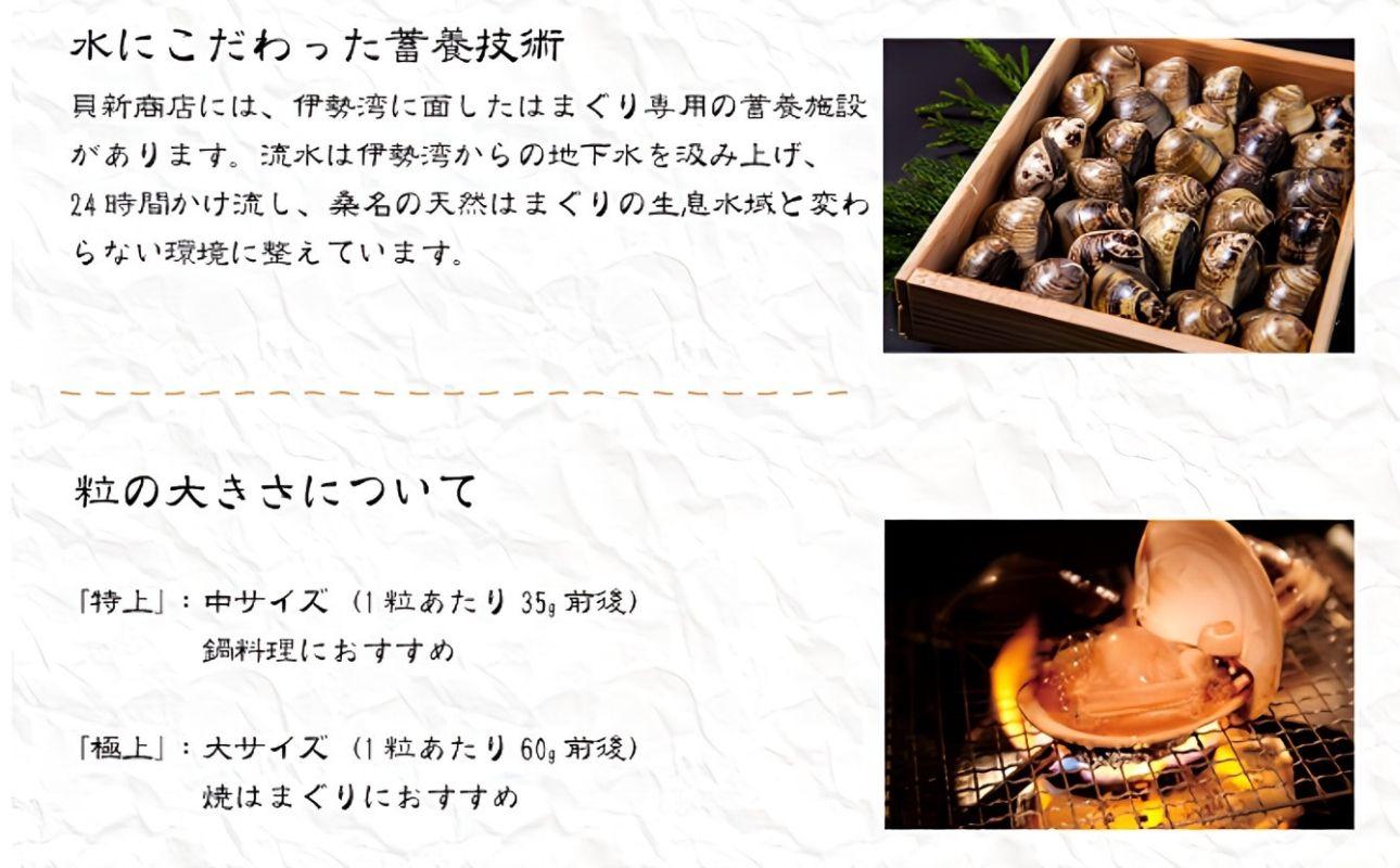 貝新畜養 活かしはまぐり （極上サイズ）2kg 木箱入り