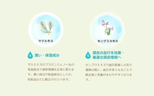 100%天然のヘアシャンプー「夢見るシャンプー」300ml 3本セット 3本